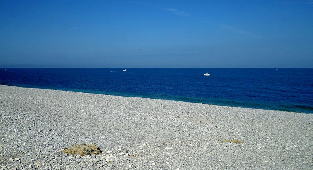 le tilleul-angle bleuté