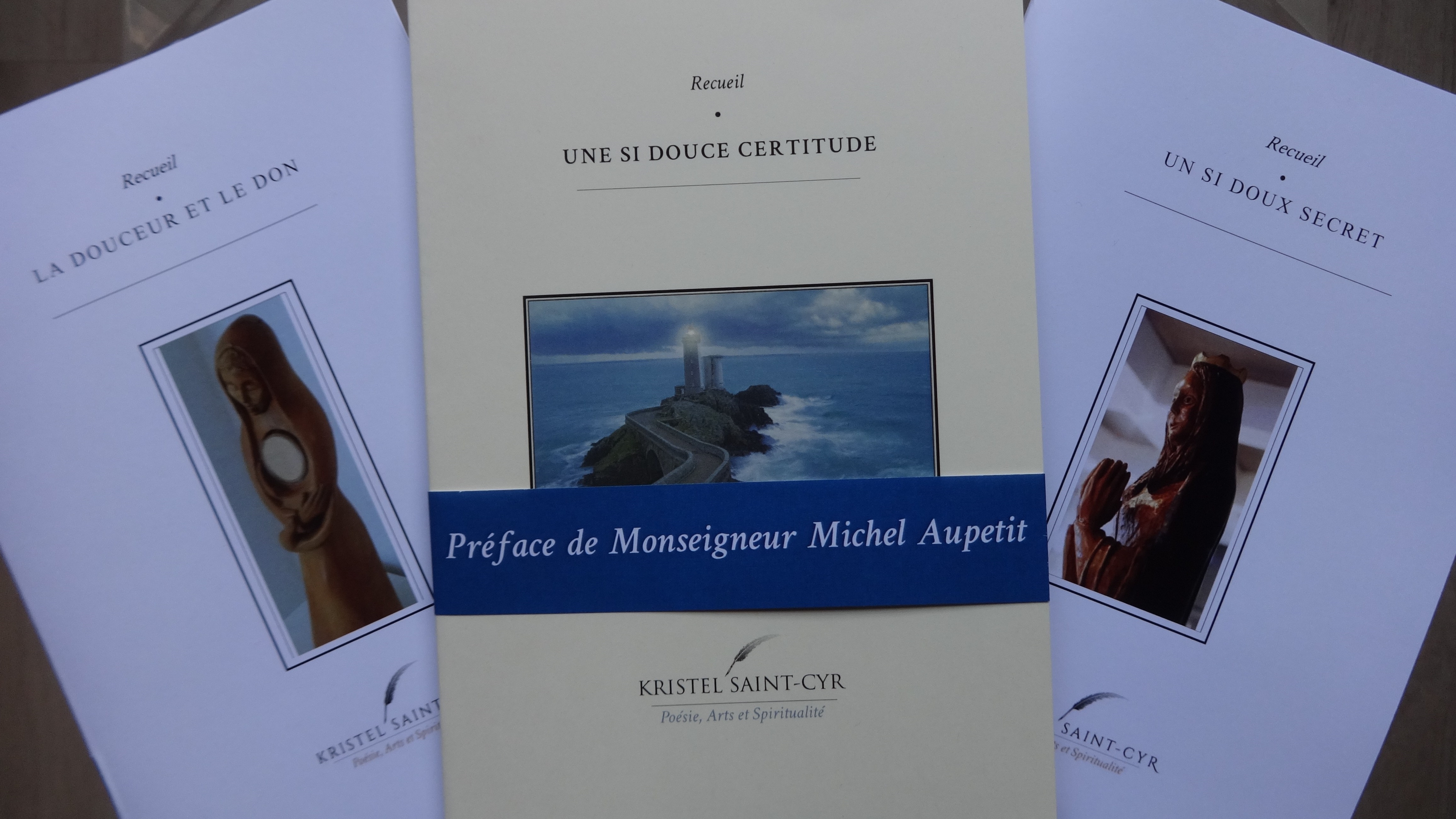 PHOTO SALON DU LIVRE 2-12-17